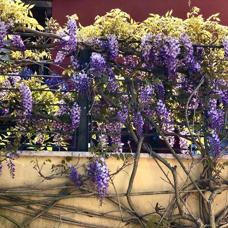 La Casa Del Glicine Ξενοδοχείο Tarzo Εξωτερικό φωτογραφία