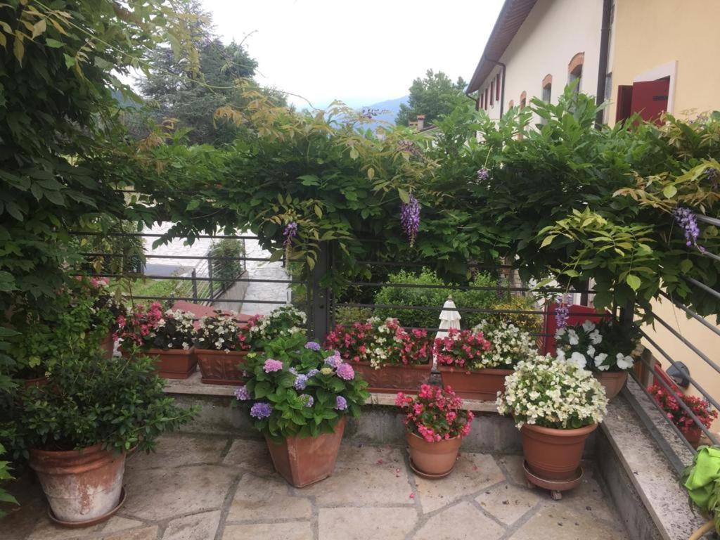 La Casa Del Glicine Ξενοδοχείο Tarzo Εξωτερικό φωτογραφία